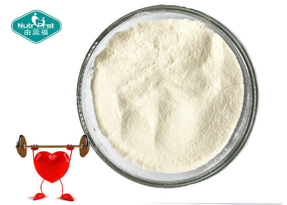Lower Cholesterol Probiotic Powder Pediococcus Pentosaceus 2 Years Shelf Life