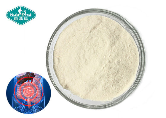 Improves Intestinal Microenvironment Probiotic Powder Streptococcus Thermophilus