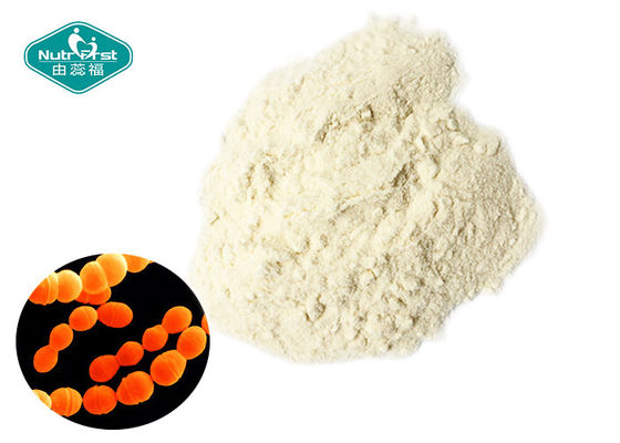 Improves Intestinal Microenvironment Probiotic Powder Streptococcus Thermophilus