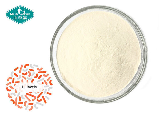 Pure Boost Immunity Probiotic Strain Powder Lactococcus lactis 200B CFU/g