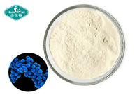 Gut Health Support Probiotic Strain Powder Pediococcus acidilactici 400B cfu/g