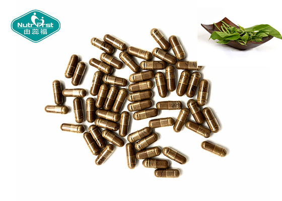 Gymnema Sylvestre Capsules for Maintain Healthy Blood Sugar Levels