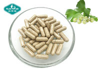 Ginkgo Biloba 120mg Capsule for Supporting Healthy Brain Function & Circulation