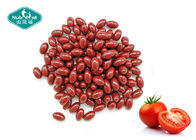 Food Grade Tomato Extract Supplement Lycopene 10mg Softgels Supports Vascular Health