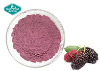 Freeze Dried Mulberry Fruit Powder Fruit and Vegetable Powder Supplement for Beverage