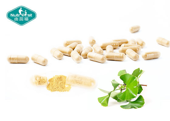 Ginkgo Biloba Standardized Extract Powder 24/6 for Memory Support