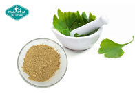 Ginkgo Biloba Standardized Extract Powder 24/6 for Memory Support
