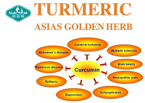 Turmeric Root Curcumin Capsules Supports Antioxidant and Anti-inflammatory Health with OEM Contract Manufacturing