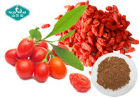 Goji Berry Wolfberry Extract Lycium Barbarum L with Polysaccharides 10-50%