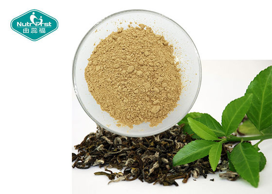 Natural Botanical Extracts 98.0% Polyphenols Green Tea Extract with EGCG 98%