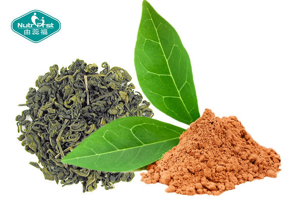 Natural Botanical Extracts 98.0% Polyphenols Green Tea Extract with EGCG 98%