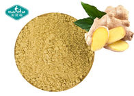 Ginger Root Extract with 5 - 20% Gingerols for Arthritis Health and Flu Relief