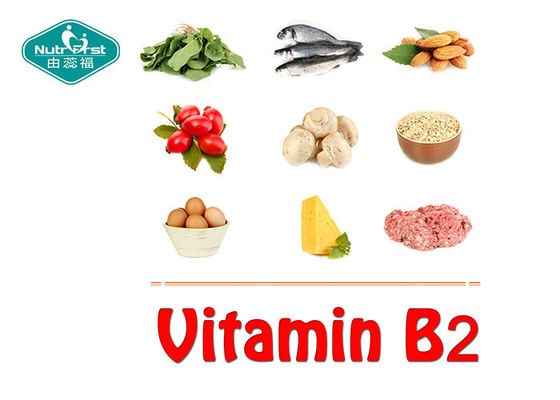 Vitamin B2 50mg Riboflavin Tablets for Supporting Fat and Energy Metabolism