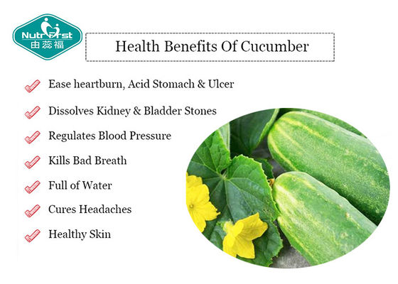 Fine Cucumber Extract Powder For Preventing Diabetes , Lowering Blood Lipid