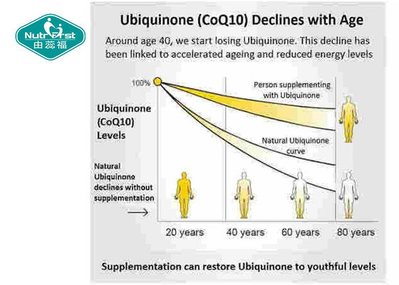 Coenzyme Q10 ( Ubidecarenone , Ubiquinone ) , CoQ10 99% Powder