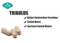 Natural Tribulus Terrestris Extract 500mg Capsules for Strength and Performance