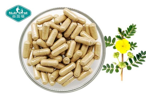 Natural Tribulus Terrestris Extract 500mg Capsules for Strength and Performance