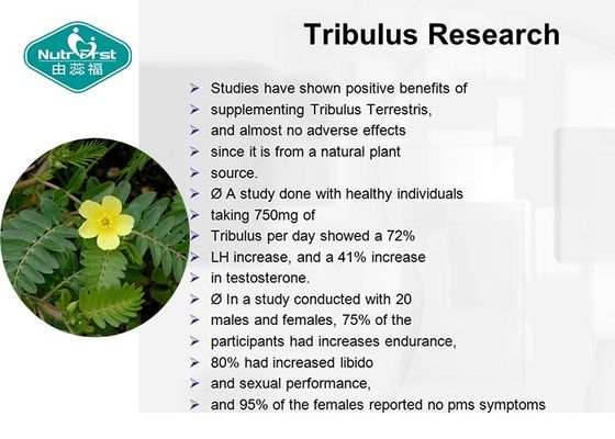 Natural Tribulus Terrestris Extract 500mg Capsules for Strength and Performance