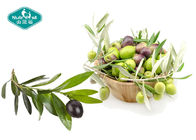 Olive Leaf Extract Capsules High Strength Natural Antioxidant