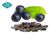 Acai Berry Capsules for Antioxidant and Support Fat Metabolism