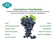 Grape Seed Extract Capsules 100% Natural Anti - oxidant for Anti - aging