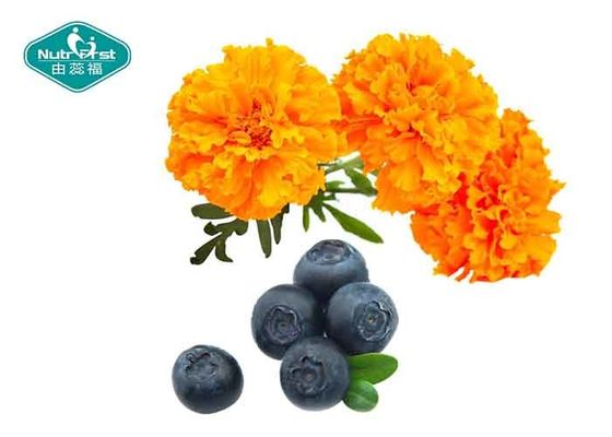 Lutein Bilberry Eye Care Supplement / Nutritional Lutein Zeaxanthin Softgel Capsules