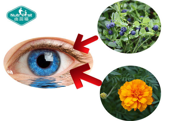 Lutein Bilberry Eye Care Supplement / Nutritional Lutein Zeaxanthin Softgel Capsules
