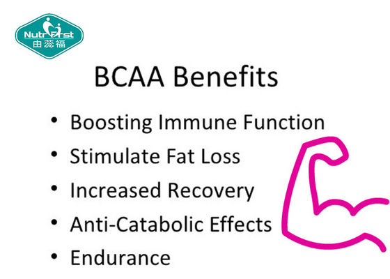 Muscle Nutrition Supplements BCAA Tablet Branch Chain Amino Acids Sports Nutrition