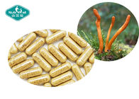 Immunity Respiratory Herbal Supplements / Cordyceps Militaris Capsule For Energy