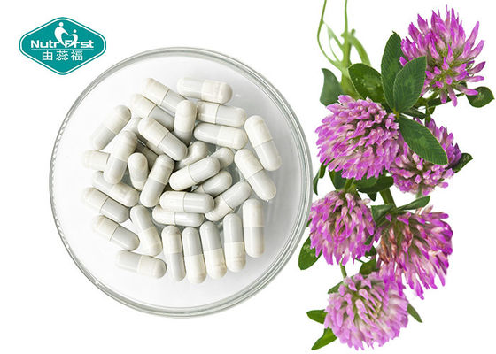 Red Clover Extract ( Trifolium Pratense ) Capsules for Menopause Support
