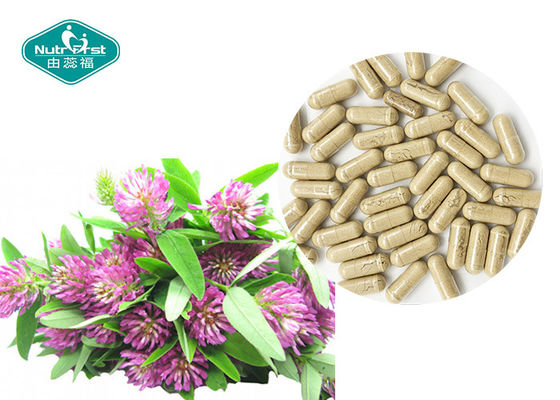 Red Clover Extract ( Trifolium Pratense ) Capsules for Menopause Support
