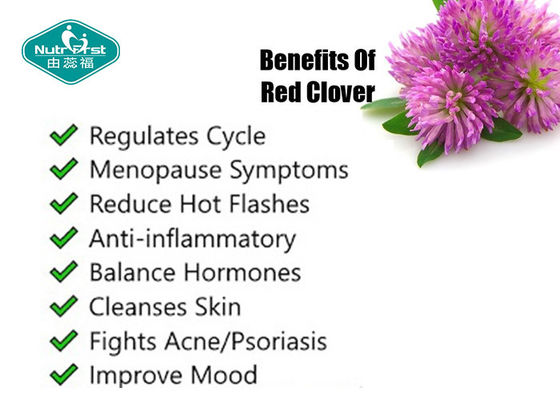 Red Clover Extract ( Trifolium Pratense ) Capsules for Menopause Support