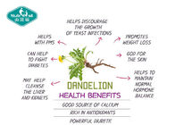 Dandelion Root Extract Capsules Supports the Liver and Gallbladder