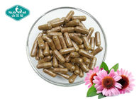 Echinacea Purpurea Capsules Helps Fight Colds & Upper Respiratory Tract Infections