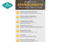 Ashwagandha Root 300mg Capsules for a Healthy Immune & Stress Response