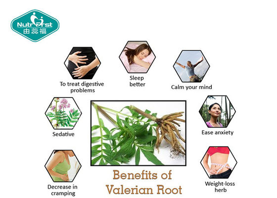Multi Herbal Supplements 300mg Valerian Root Extract Capsules Promotes Restful Sleep