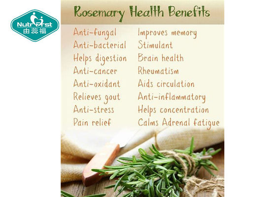 Rosemary Leaves Capsules Herbal Supplements for Reducing Anxiety Elevating Mood