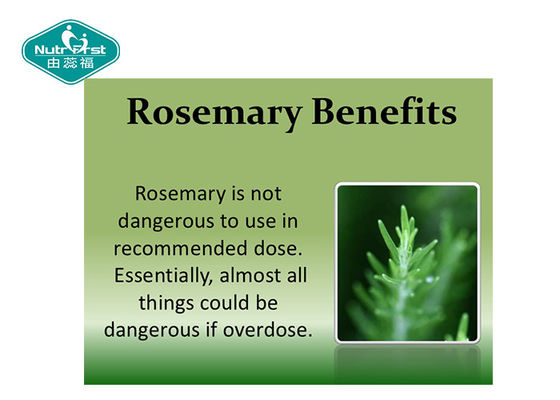 Rosemary Leaves Capsules Herbal Supplements for Reducing Anxiety Elevating Mood