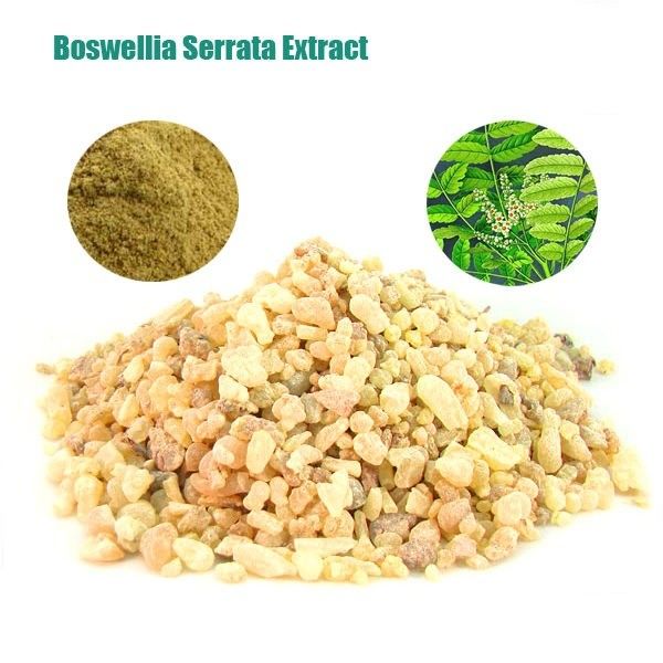 Boswellia Serrata Extract,Herbal Extract,Boswellic Acid 65%min,Yellow color