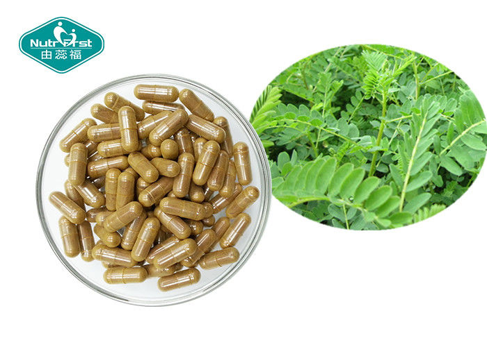 Herbal Supplements Astragalus Root Capsules for Immune System Support