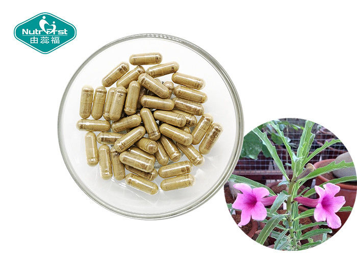 Devil's Claw Capsules Support Arthritis Relief & Joint Function Supplement Contract Manufacturer