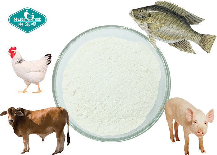 Collagen Powder ex Bovine , Porcine , Chicken , Fish with 90% Protein