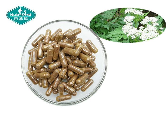 Dong Quai Angelica Sinensis Capsules for Female Support