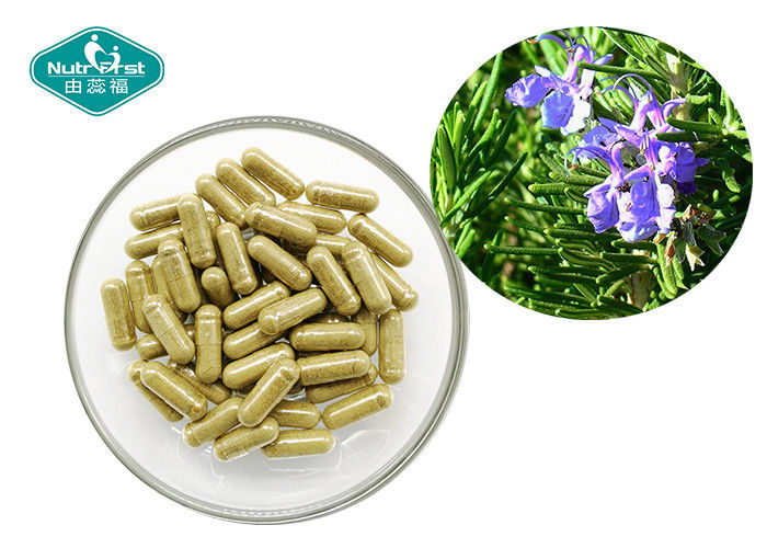 Rosemary Leaves Capsules Herbal Supplements for Reducing Anxiety Elevating Mood