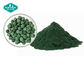 100% Top Quality 250mg/500mg Organic Spirulina Powder Spirulina Tablet Spirulina Capsule supplier