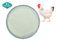 Chondroitin Sulfate ex Bovine , Porcine and Chicken USP40 for Joint Health supplier