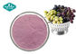 100% Pure Natural Fruit And Vegetable Powder , Soluble Purple Grape Juice Powder supplier
